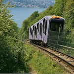 Monti