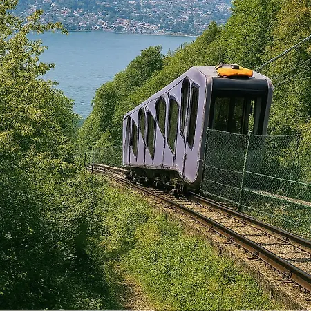 Monti